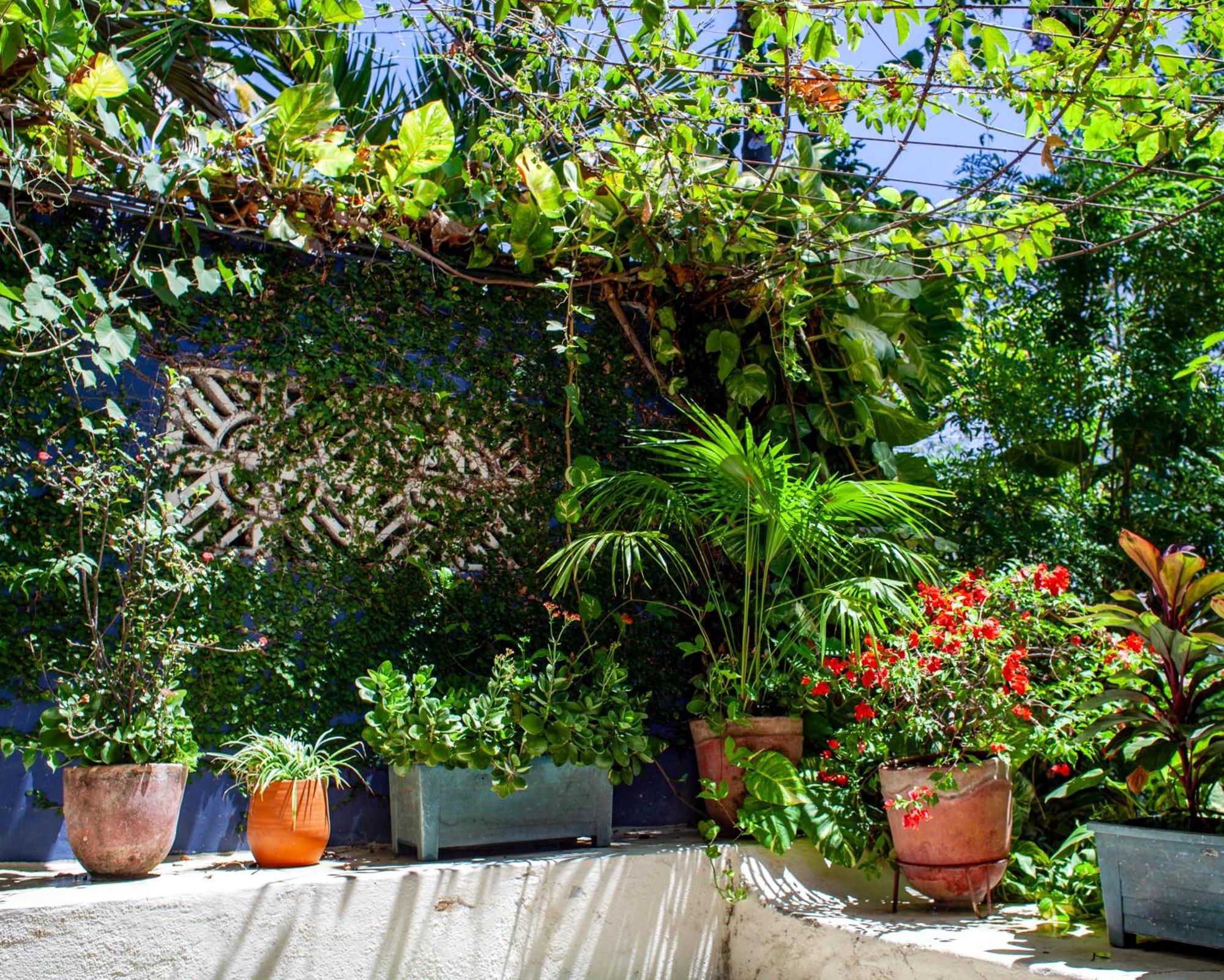 Bed and Breakfast Casa Marimba La Laguna Exteriér fotografie